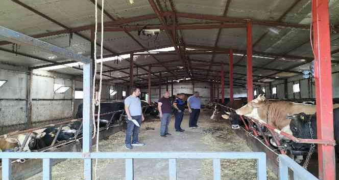 Altınova’da kurban satış ve kesim yerlerine sıkı denetim