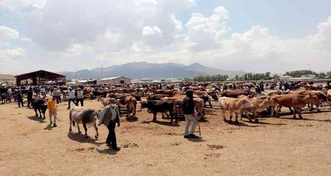 Van’da kurban kesim yerleri belirlendi