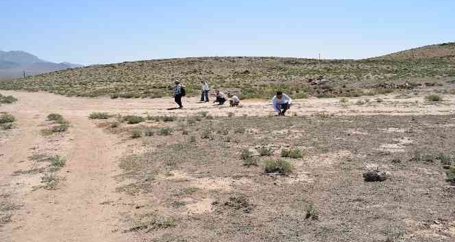 NEVÜ’de  ’Arkeolojik Yüzey’ araştırmaları başladı