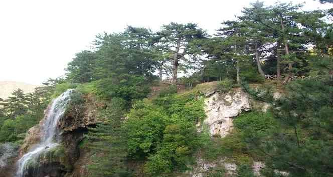 Ankara’nın yanı başındaki doğa harikası: Sarıçalı Milli Parkı