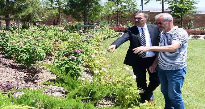 Ahlat’ta botanik çeşitlilik artırılıyor