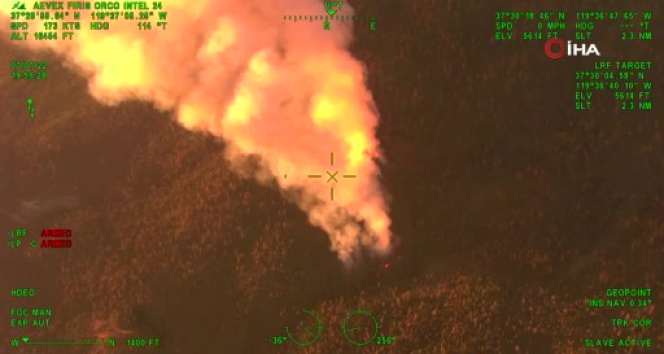 Californiadaki orman yangını, dev sekoya ağaçlarını tehdit ediyor