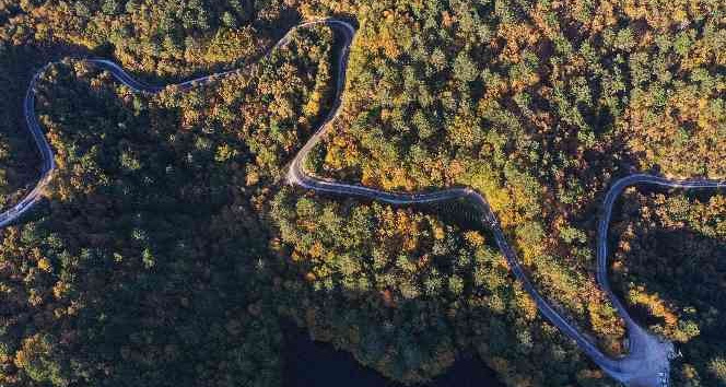 Yalova ormanlarına giriş ve çıkışlar yasaklandı