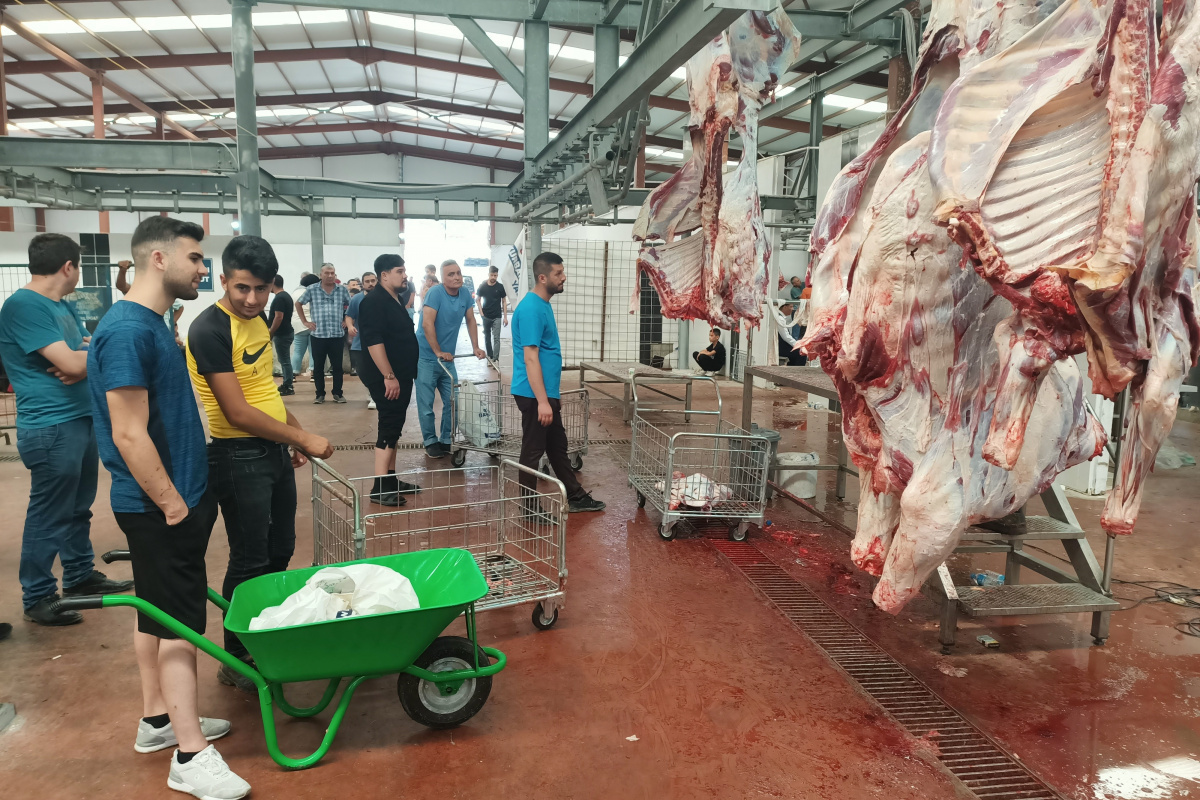 Kasapların kurban mesaisi