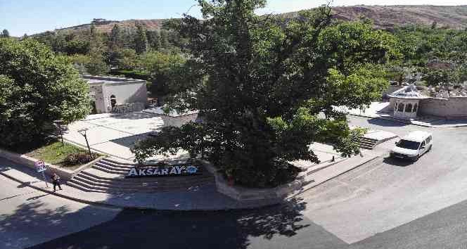 700 yıllık ’Kanlı Pelit’ efsanelerle yaşıyor