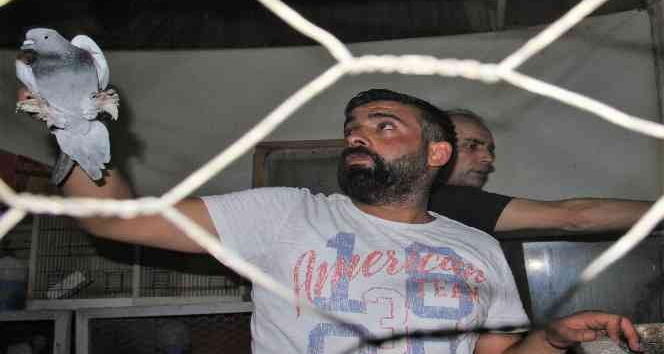 Güvercin sevdası onlar için bir yaşam biçimi