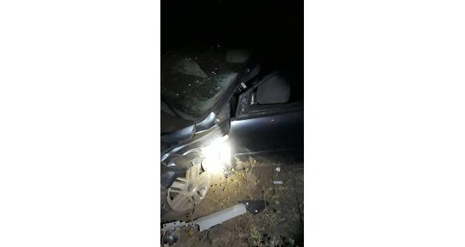 Bingöl’de otomobil ineğe çarptı: 7 yaralı