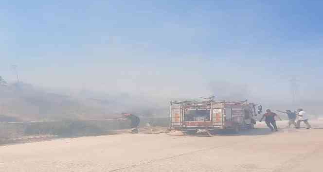 Bodrum’da makilik alanda yangın