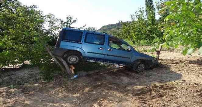 Kontrolden çıkan hafif ticari araç kiraz bahçesine uçtu
