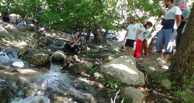 Batman’da Kurban Bayramını fırsat bilen vatandaşlar piknik alanlarına akın etti