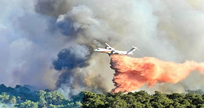Fransanın güneyinde orman yangını: Bin 500 hektar kül oldu