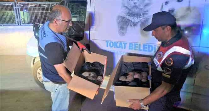 Çuval içerisine konularak ölüme terk edildiler