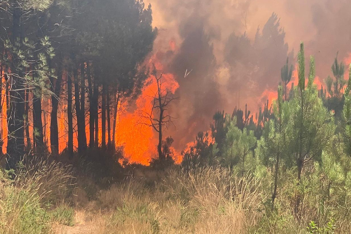 Fransa&#039;daki orman yangınlarında yaklaşık 4 bin hektar alan kül oldu
