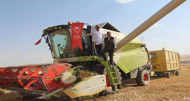 Siirt’te buğday hasadında sona gelindi, 125 bin ton verim bekleniyor
