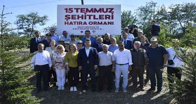 15 Temmuz şehitleri anısına dikilen 251 fidan ve ağaca bakım yapıldı