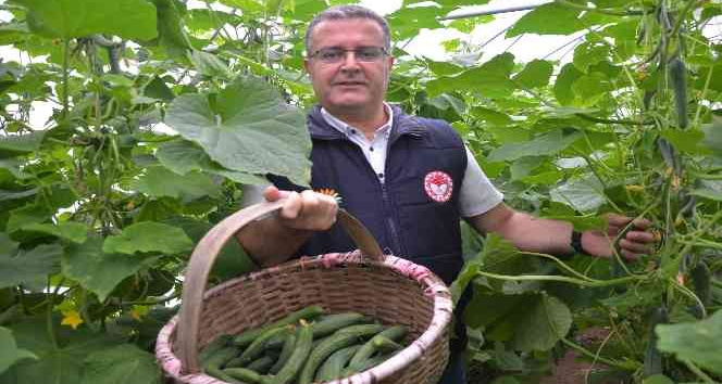 Karadeniz’de seracılık sektörü, verilen destekler ile büyüyor