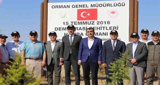 Karaman’da 15 Temmuz Demokrasi Şehitleri Hatıra Ormanı’na 251 fidan dikildi