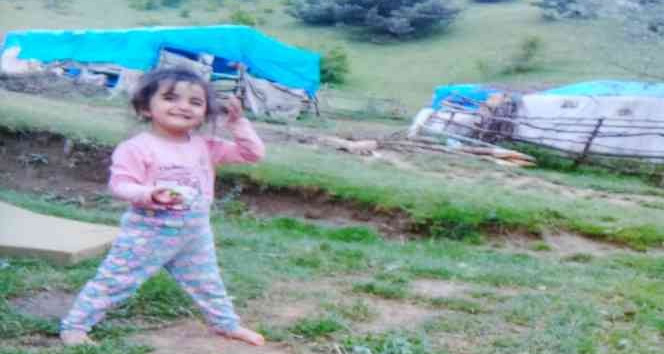 Minik Evrim’den 4 yıldır haber alınamadı