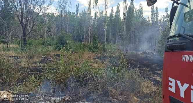 Ağaçlık alanda çıkan yangın söndürüldü