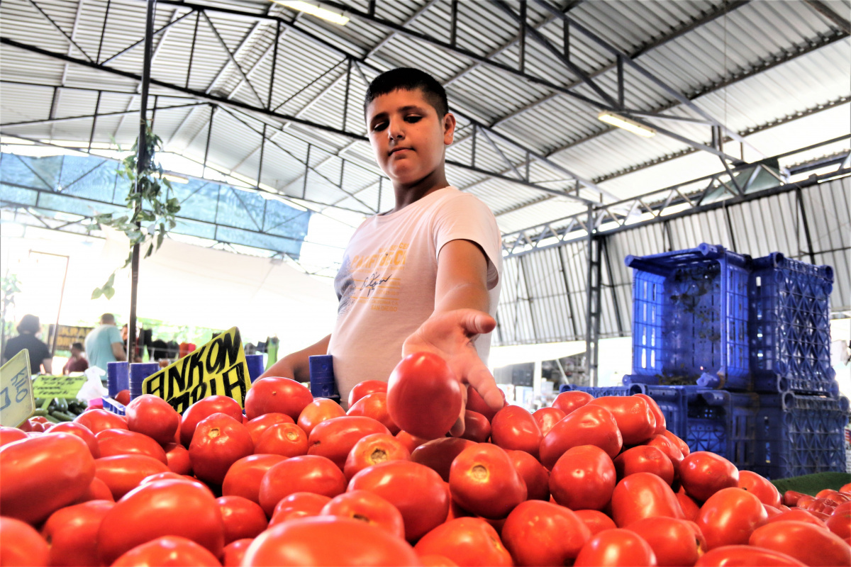 Antalya''da dört gözle beklenen yayla domatesi pazarla buluştu