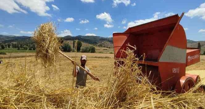 Kışlık yem hazırlıkları hızlandı