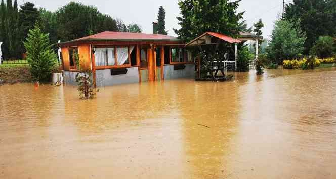 Ordu’da dereler taştı, kümes hayvanları telef oldu