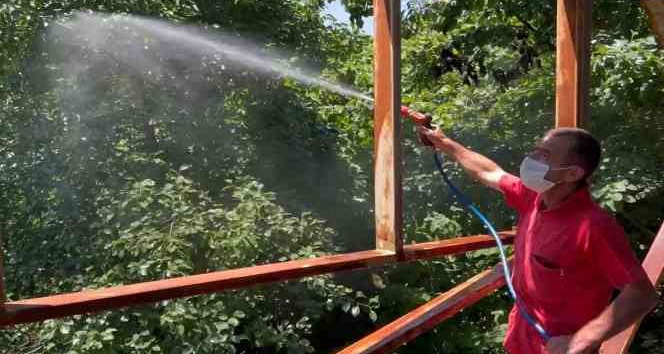 Ordu’da meyve dökülmelerine önlem