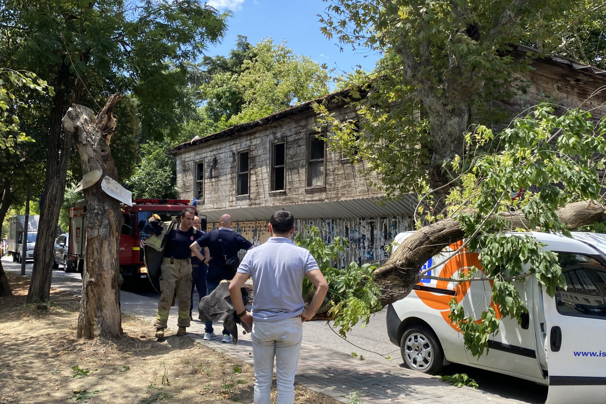 Kadıköy&#039;de seyir halindeki aracın üzerine ağaç devrildi