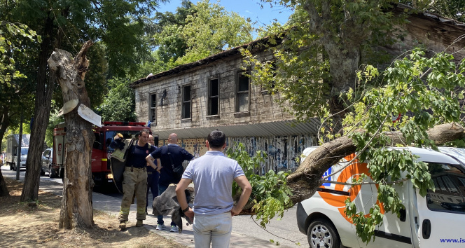 Kadıköyde seyir halindeki aracın üzerine ağaç devrildi