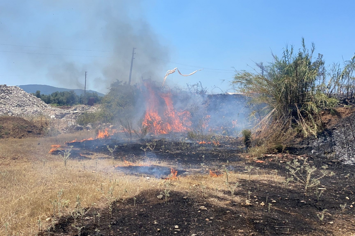 Fethiye&#039;de tarım arazisinde çıkan yangın büyümeden söndürüldü