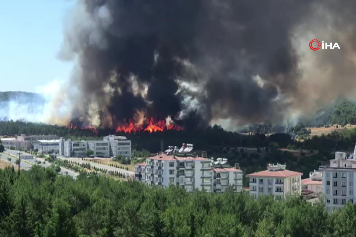 Gaziantep&#039;teki orman yangını 1 saatte kontrol altına alındı
