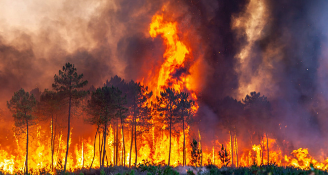 İspanyada 30 farklı noktada yangınla mücadele sürüyor