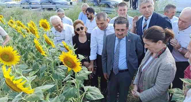 Tarım ve Orman Bakan Yardımcısı Pakdil: "Rekolte açısından bir kaybımız olmaz"