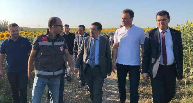 Tarım ve Orman Bakan Yardımcısı Pakdil: “Edirne ve Kırklareli’nde çayır tırtılı sorununu hemen hemen bitti diyebiliriz”