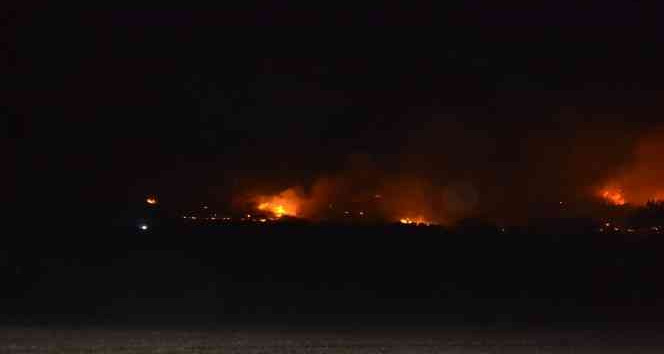 Didim’de makilik yangını korkuttu