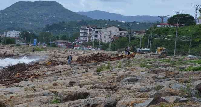 Sel sonrası kıyıya vuran odunlar, vatandaşlar tarafından toplanıyor