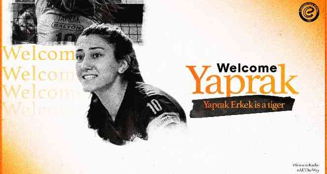 Yaprak Erkek, Eczacıbaşı Dynavit’te