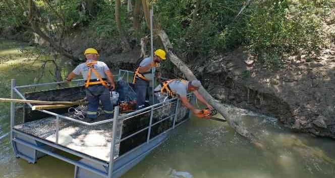 Sel sonrası Bartın Irmağı’nda ağaç temizliğine başlandı