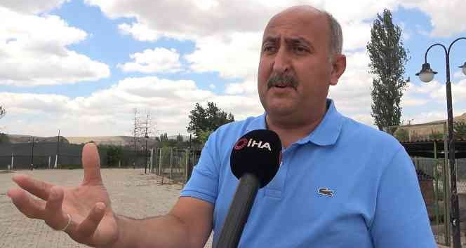 Her ay 100’ün üzerinde köpek bırakılınca, "Yalvarıyorum" diyerek çağrıda bulundu