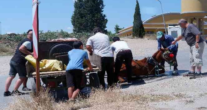 Bunaltıcı sıcakta yük ve insan taşıyan at, yere yığıldı zor anlar yaşadı