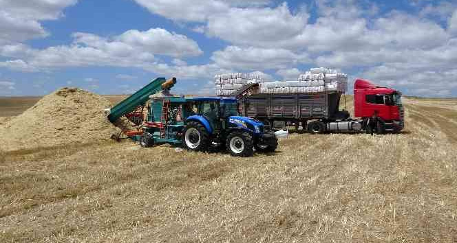 Yozgat’ta saman balyası mesaisi başladı