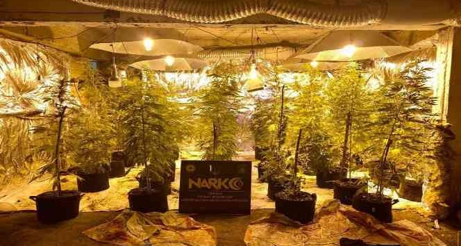 Giresun’da bodrum katını uyuşturucu serasına dönüştüren şahıslar tutuklandı