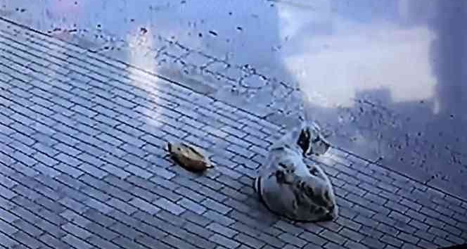 Başkasının verdiği ekmeği yemedi, 45 dakika iş yeri sahibinin gelmesini bekledi