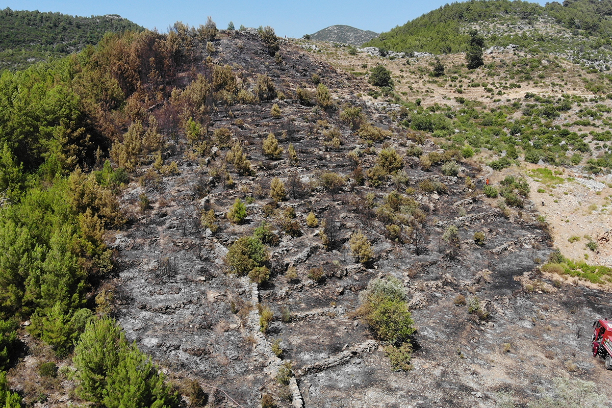 Tarladan makilik alana sıçrayan yangın ormana ulaşmadan söndürüldü
