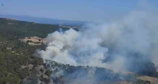 Çanakkale’deki orman yangını kontrol altında