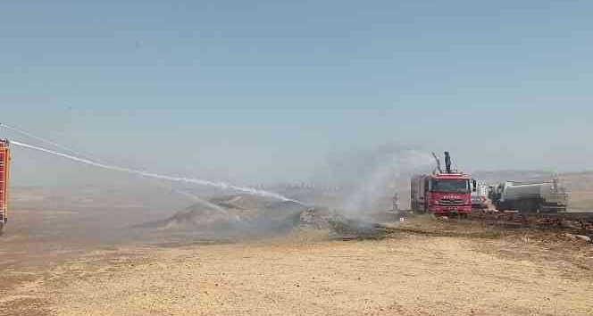 Siirt’te 100 ton buğday yangında kül oldu