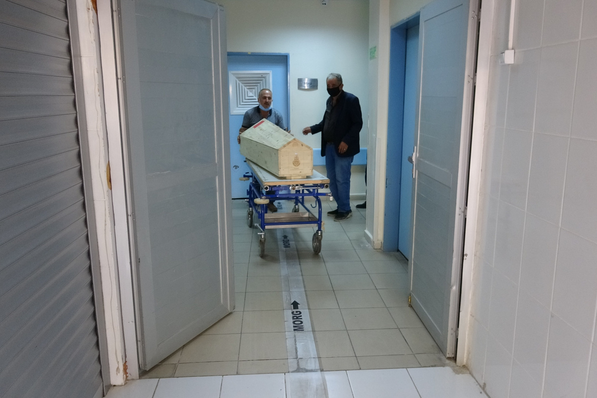 Vakalar artıyor... Tokat'ta keneden 4. ölüm