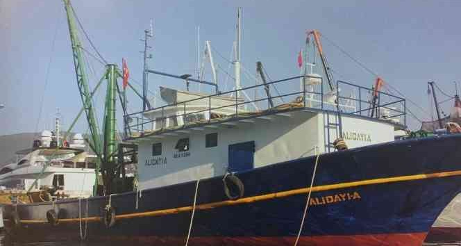 Çanakkale açıklarında 226 düzensiz göçmen yakalandı
