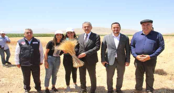 Karaman ovasında son buğday hasadı yapıldı