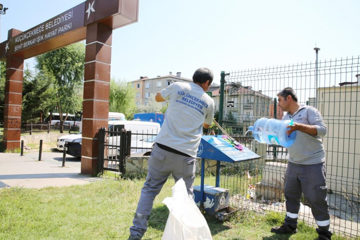 Küçükçekmece’de hayvan dostu belediyecilik